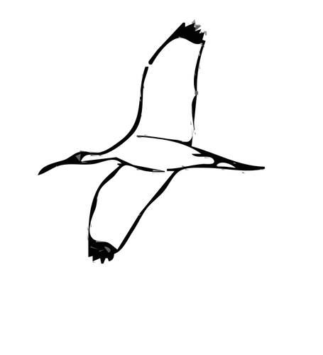 Wood Ibis bird vector image